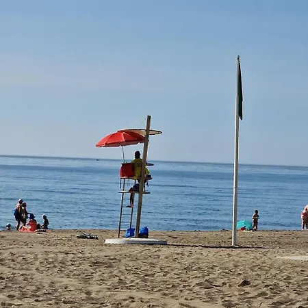 Paz Malaga